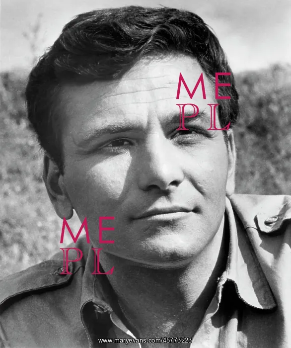 : Peter Falk - actor : Peter Falk - actor