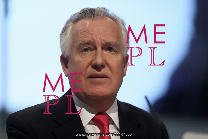 : Peter Hain MP : Peter Hain MP