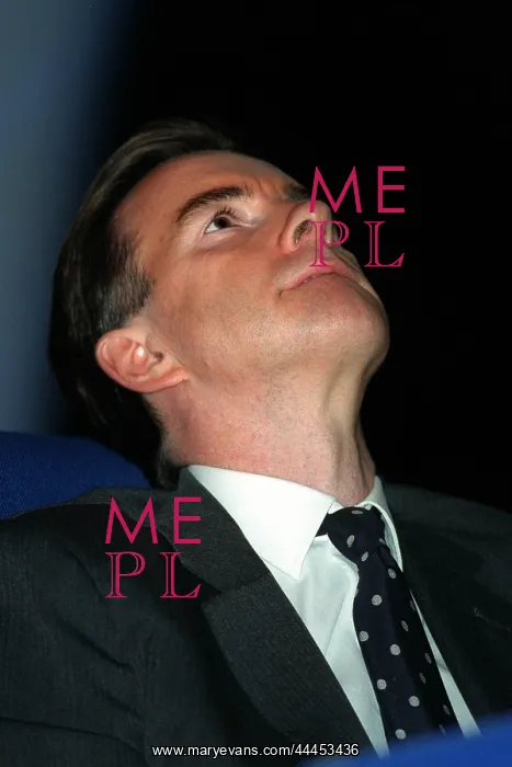 : Peter Mandelson MP : Peter Mandelson MP