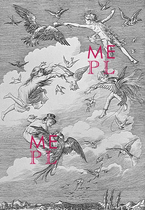 : Peter Pan and the Darling children flying with the birds : Peter Pan and the Darling children flying with the birds
