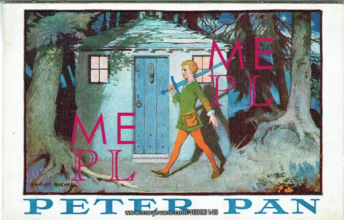 : Peter Pan by J M Barrie : Peter Pan by J M Barrie
