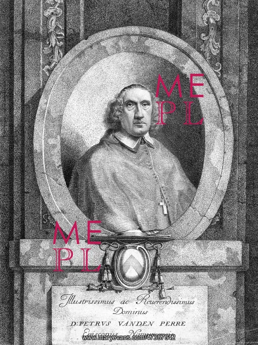  : PETER VAN DEN PERRE