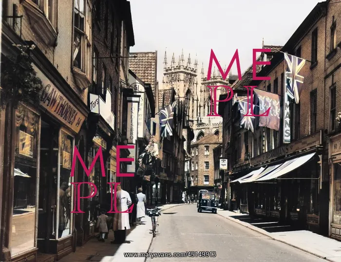 : PETERGATE, YORK : PETERGATE, YORK