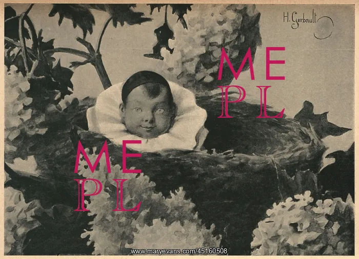 : Un Petit Pierrot Dans Son Nid : Un Petit Pierrot Dans Son Nid