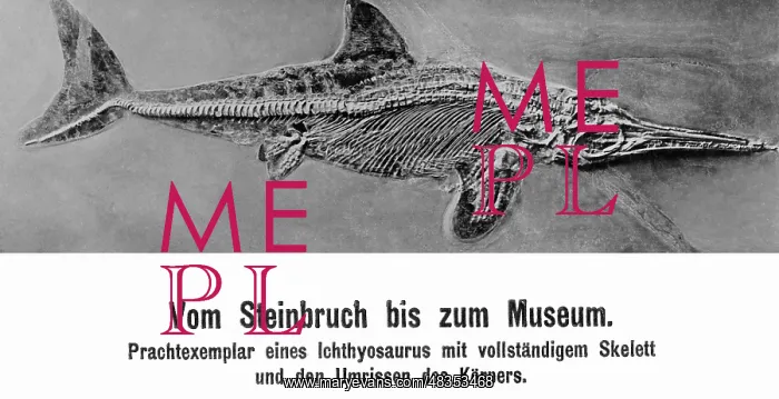 : Petrified ichthyosaurus, 1906 : Petrified ichthyosaurus, 1906