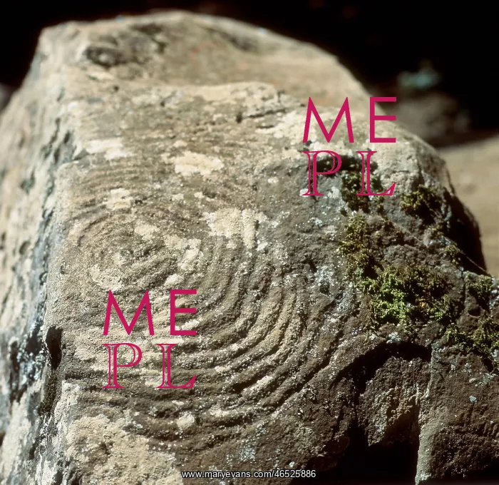 : Petroglyph with geometric motifs : Petroglyph with geometric motifs