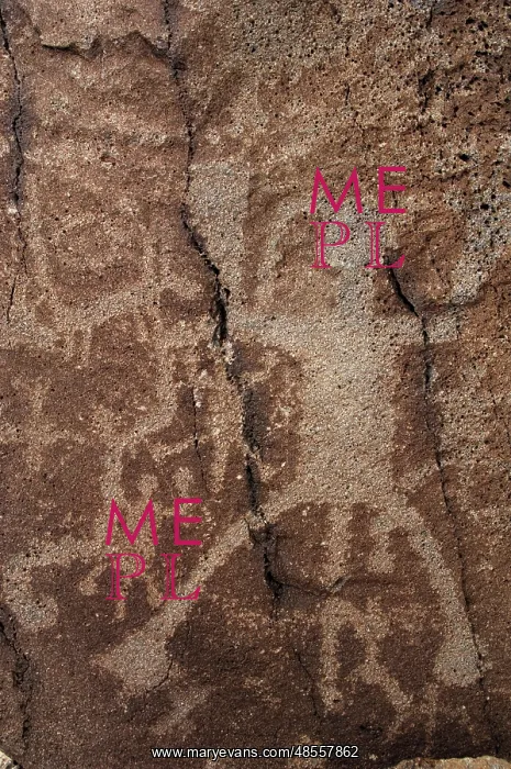 : Petroglyph National Monument. Petroglyphs. New Mexico. USA : Petroglyph National Monument. Petroglyphs. New Mexico. USA