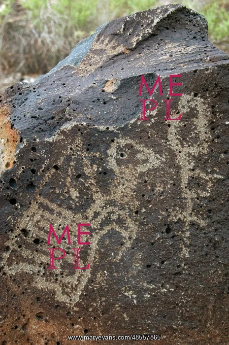 : Petroglyph National Monument. Petroglyphs. New Mexico. USA : Petroglyph National Monument. Petroglyphs. New Mexico. USA