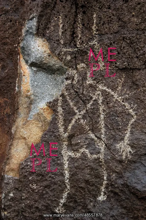  : Petroglyph National Monument. Petroglyphs. New Mexico. USA
