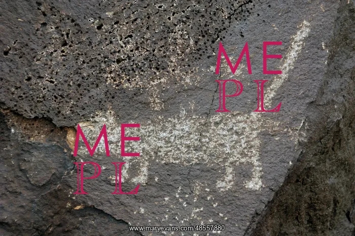 : Petroglyph National Monument. Petroglyphs. New Mexico. USA : Petroglyph National Monument. Petroglyphs. New Mexico. USA