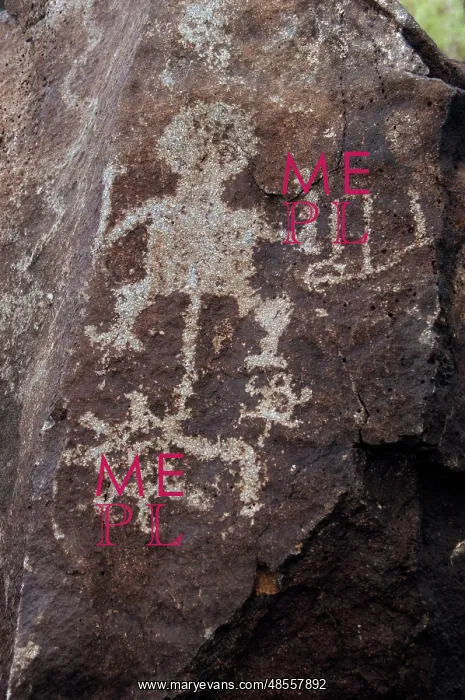 : Petroglyph National Monument. Petroglyphs. New Mexico. USA : Petroglyph National Monument. Petroglyphs. New Mexico. USA
