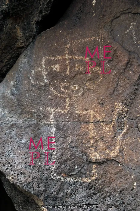 : Petroglyph National Monument. Petroglyphs. New Mexico. USA : Petroglyph National Monument. Petroglyphs. New Mexico. USA