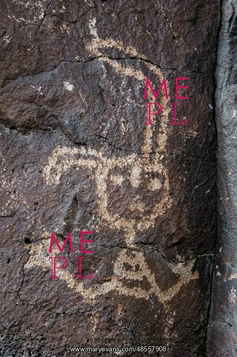 : Petroglyph National Monument. Petroglyphs. New Mexico. USA : Petroglyph National Monument. Petroglyphs. New Mexico. USA