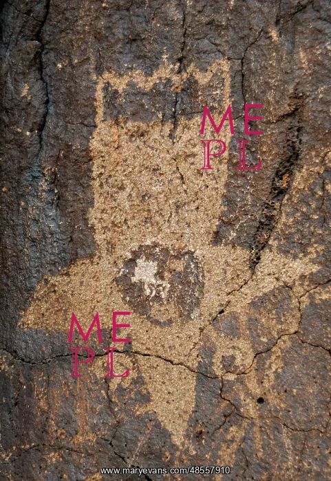 : Petroglyph National Monument. Petroglyphs. New Mexico. USA : Petroglyph National Monument. Petroglyphs. New Mexico. USA
