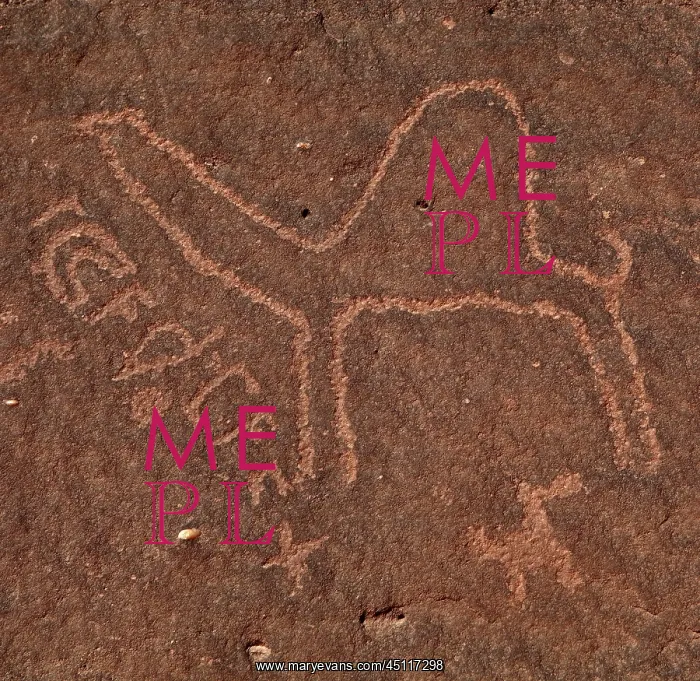 : Petroglyphs, Wadi Rum, Jordan : Petroglyphs, Wadi Rum, Jordan