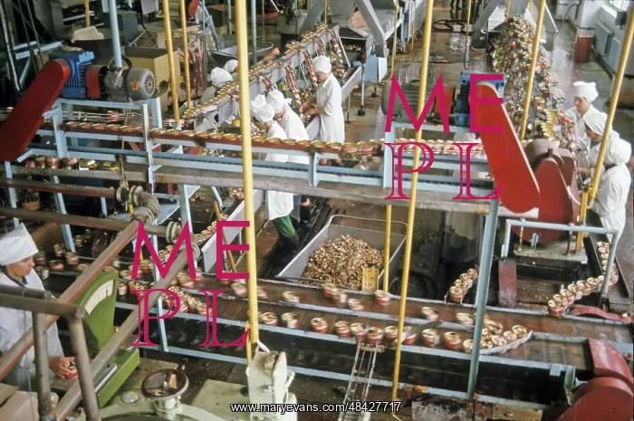 : Petropavlovsk Fish Processing Factory, 1978 : Petropavlovsk Fish Processing Factory, 1978