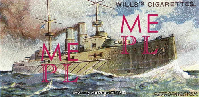  : Petropavlovsk Warship