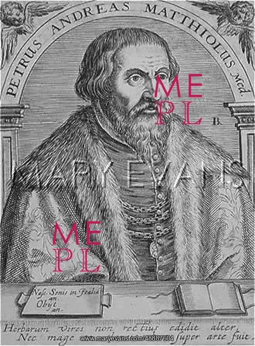  : PETRUS ANDREAS MATTIOLI