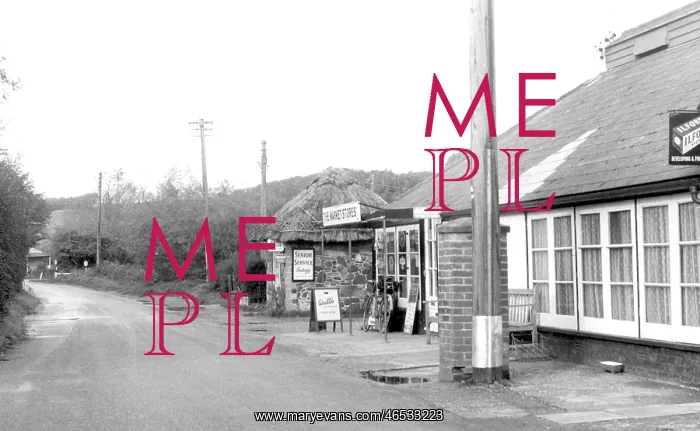  : Pett Level, the Market Stores c1955