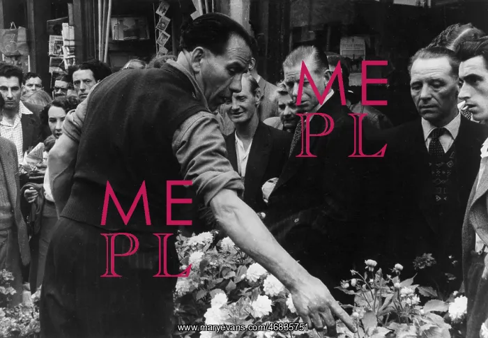 : PETTICOAT LANE FLORIST : PETTICOAT LANE FLORIST