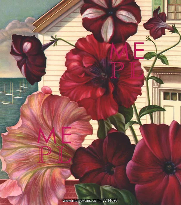  : Petunias