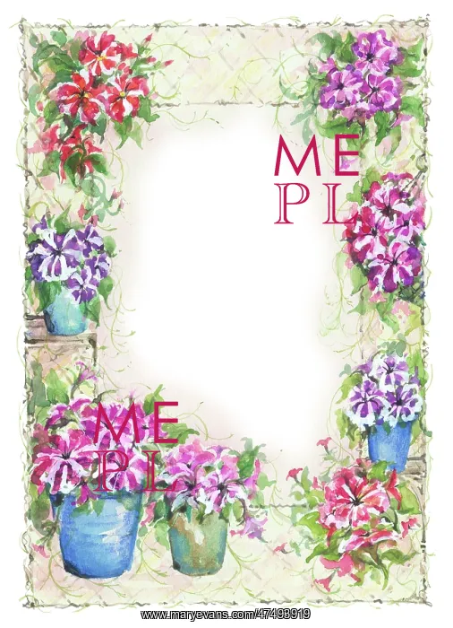  : Petunias Border design
