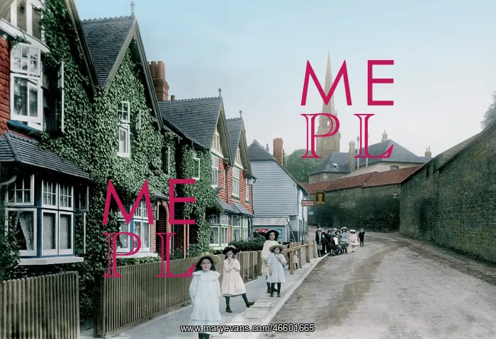  : Petworth, North Street 1908