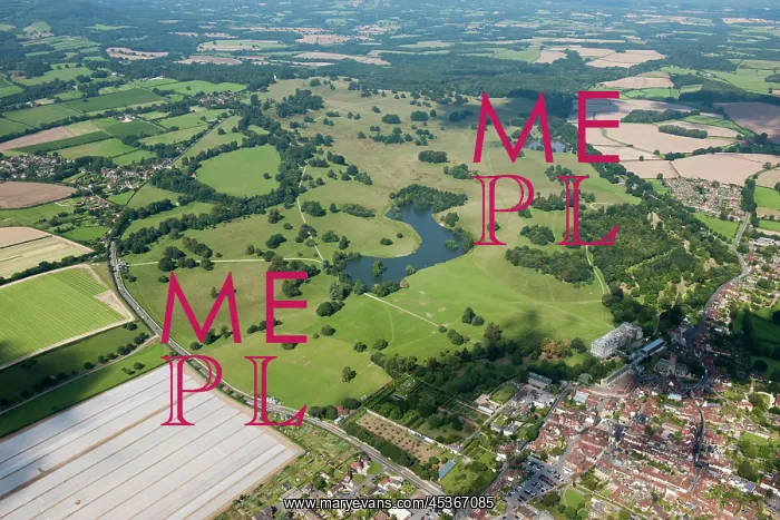 : Petworth Park : Petworth Park