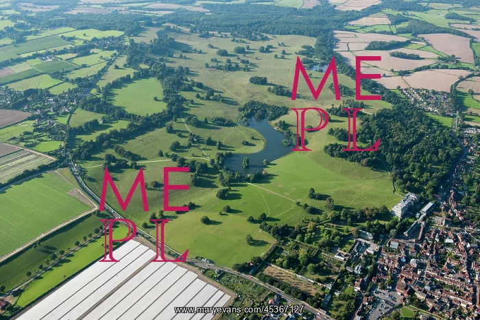 : Petworth Park : Petworth Park
