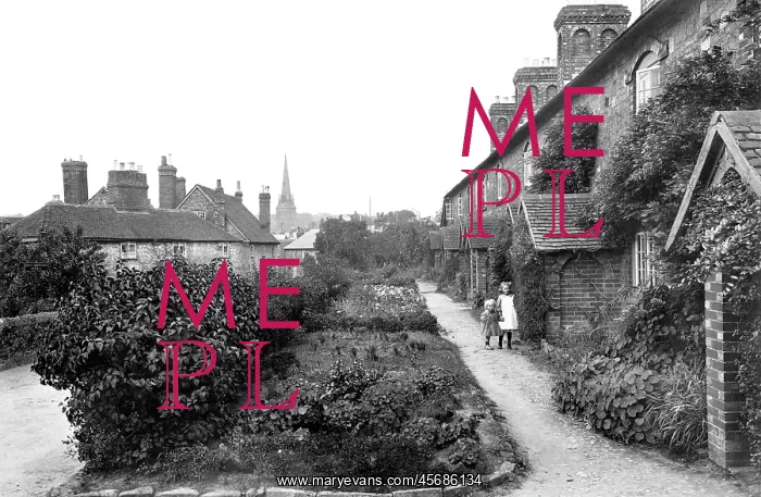  : Petworth, Percy Terrace 1912