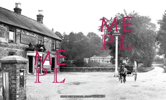  : Petworth, Railway Station 1912