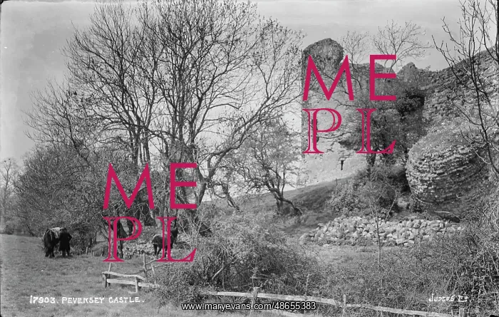 : Pevensey Castle : Pevensey Castle