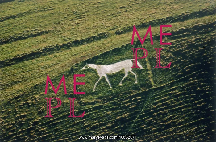  : PEWSEY WHITE HORSE
