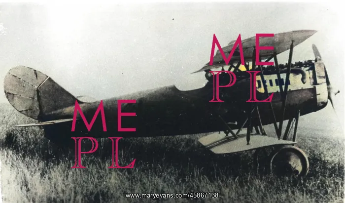  : Pfalz D XV