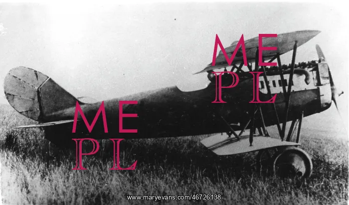  : Pfalz D XV