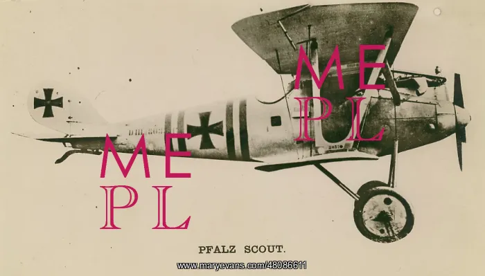  : Pfalz DIII