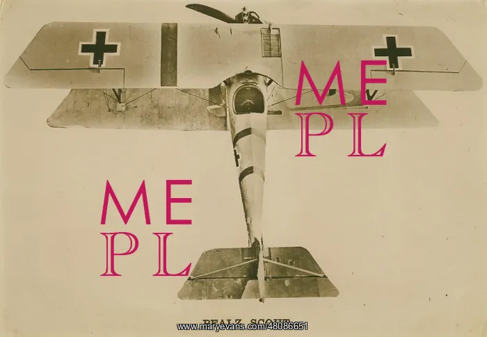  : Pfalz DIII