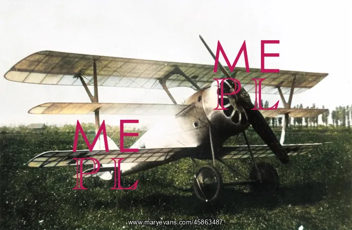 : Pfalz Dr I German fighter triplane : Pfalz Dr I German fighter triplane