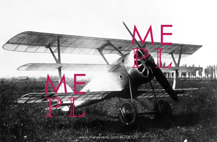 : Pfalz Dr I German fighter triplane : Pfalz Dr I German fighter triplane