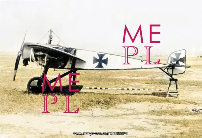 : Pfalz E I (side view, on the ground) tail trestled.? : Pfalz E I (side view, on the ground) tail trestled.?