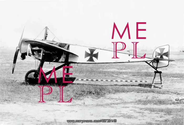  : Pfalz E I (side view, on the ground) tail trestled