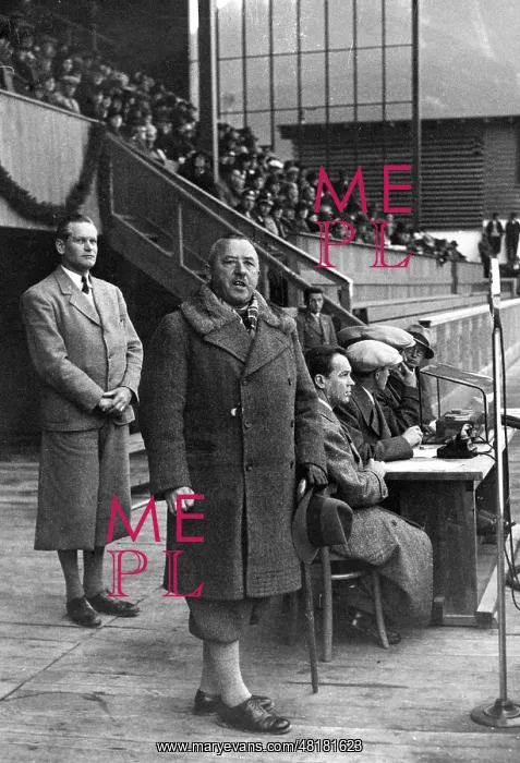 : Pfundtner, politician, State Secretary : Pfundtner, politician, State Secretary