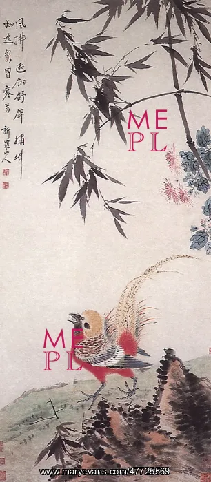 : Pheasant and Bamboo : Pheasant and Bamboo