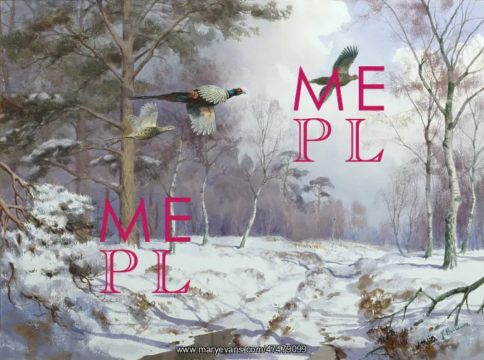 : Pheasant in Flight ' January : Pheasant in Flight ' January