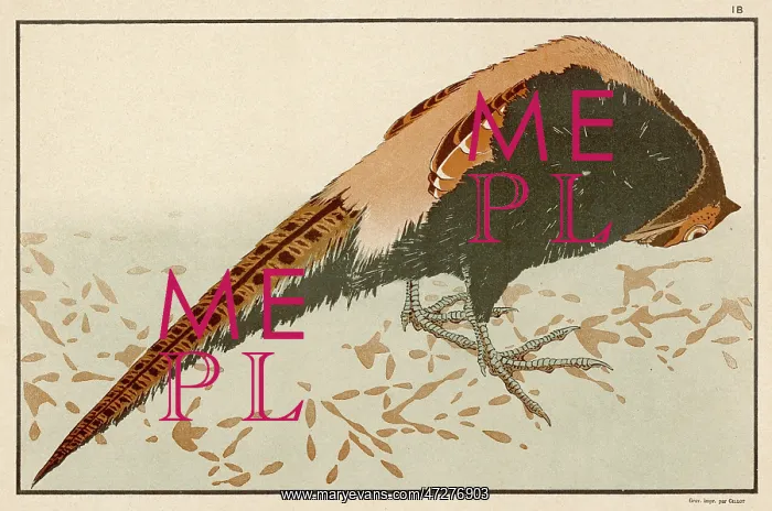 : PHEASANT (HOKUSAI) : PHEASANT (HOKUSAI)