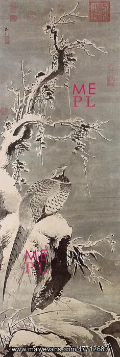  : Pheasant in Snow