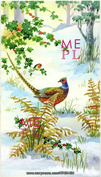 : Pheasant in the snow with robin on holly bough : Pheasant in the snow with robin on holly bough