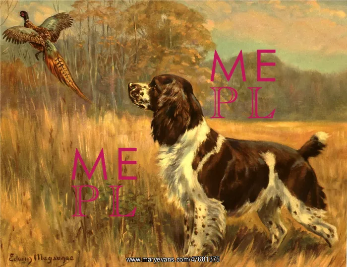 : Pheasant and Spaniel : Pheasant and Spaniel