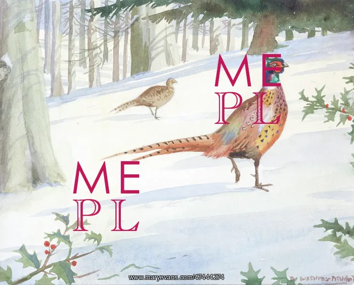  : Pheasants in the snow