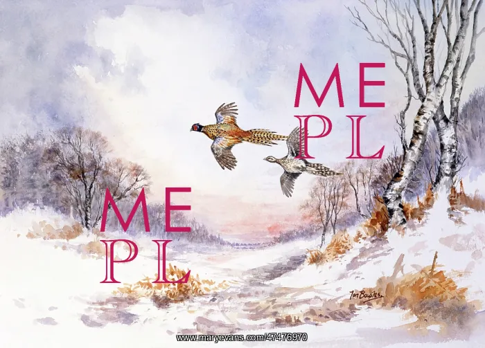  : Pheasants in Flight ' snowscene